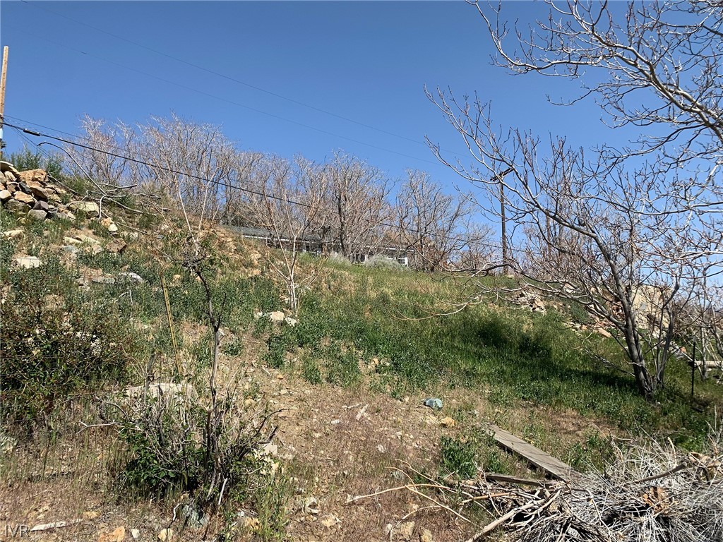 75 Main Street Silver City, NV 89428 - Photo 9 of 23 a view of a yard with plants and large trees