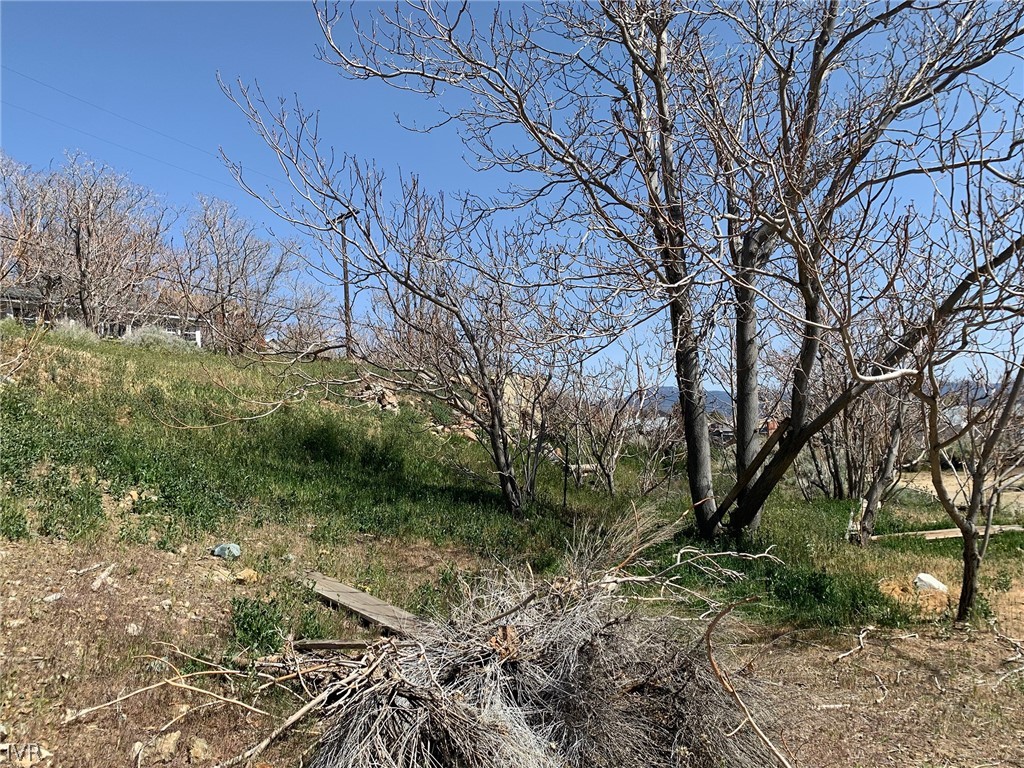 75 Main Street Silver City, NV 89428 - Photo 10 of 23 a backyard of a house with lots of green space