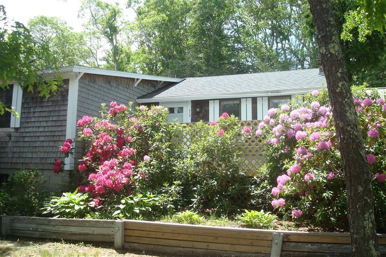 518 Cotuit Road Mashpee, MA 02649 - Photo 5 of 25 Additional Photo
