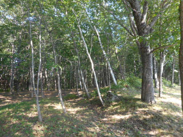 10 Old County Road North Enfield, ME 04493 - Photo 29 of 41 DSCN5133