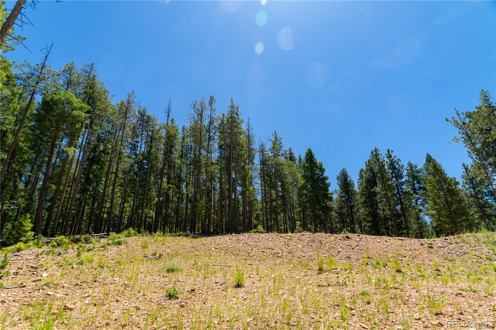 6814 Lynx Lair Road Evergreen, CO 80439 - Photo 11 of 19