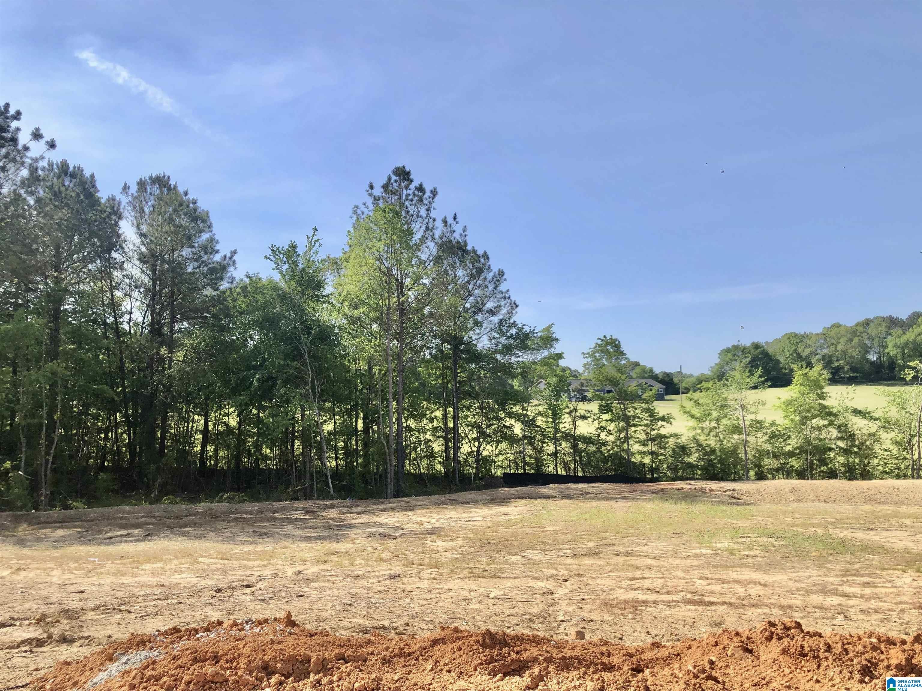 1745 Mckesie Street Riverside, AL 35135 - Photo 26 of 28