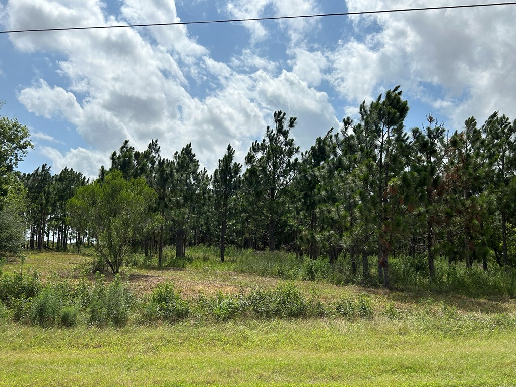 75/ Nuclear Plant Road Columbia, AL 36319 - Photo 15 of 34