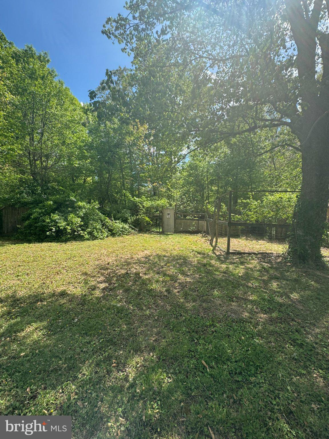 42249 St Johns Road Leonardtown, MD 20650 - Photo 11 of 15 Serene backyard oasis in nature.