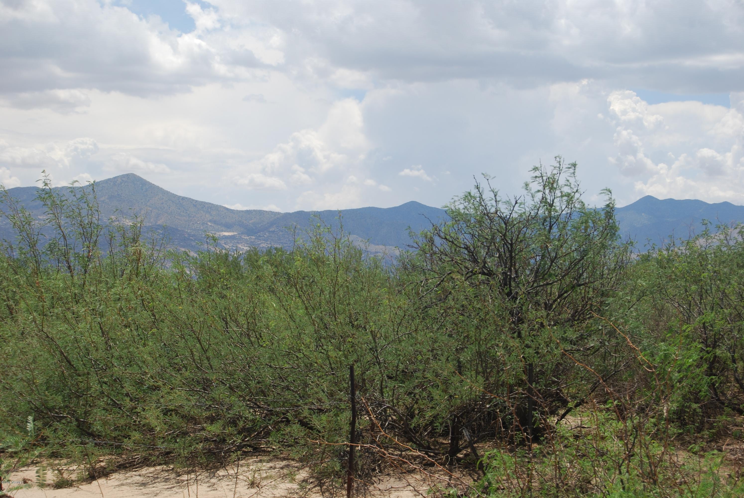 Music Road East Bowie, AZ 85605 - Photo 2 of 6