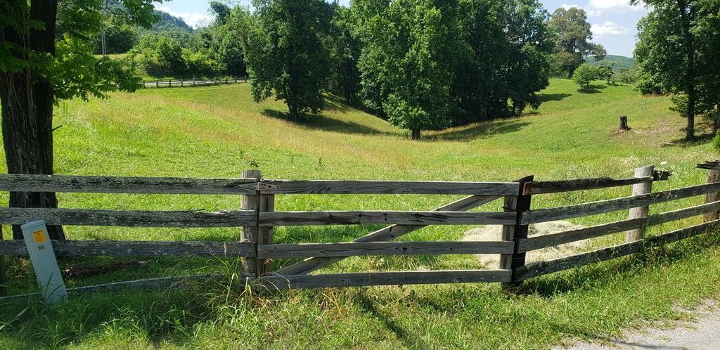 0 Sugar Creek Road Northwest Georgetown, TN 37336 - Photo 12 of 31 Gallery Image 12