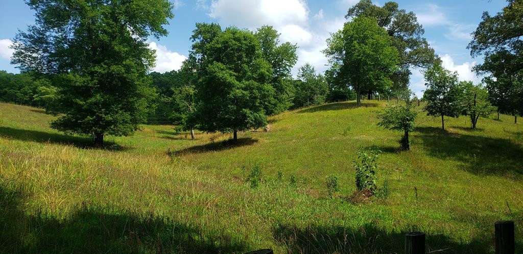 0 Sugar Creek Road Northwest Georgetown, TN 37336 - Photo 23 of 31 Gallery Image 23