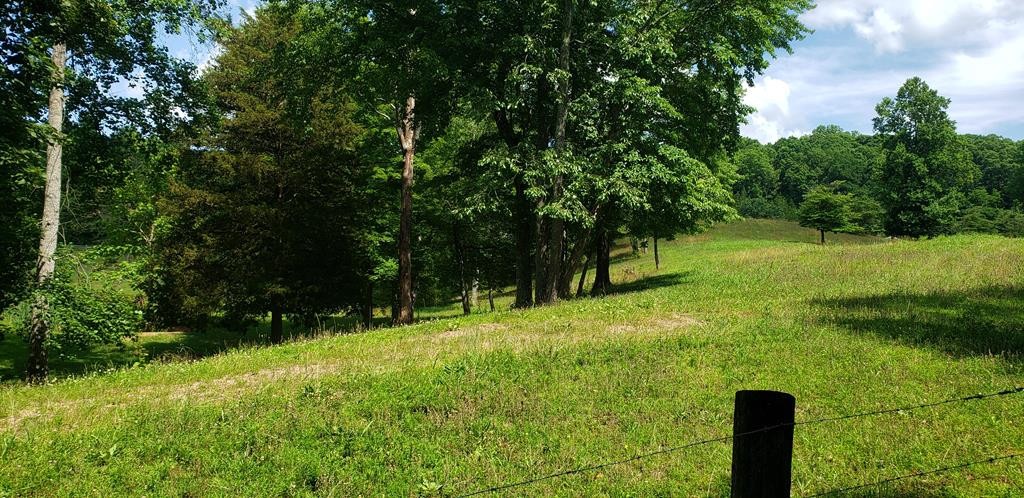 0 Sugar Creek Road Northwest Georgetown, TN 37336 - Photo 25 of 31 Gallery Image 25