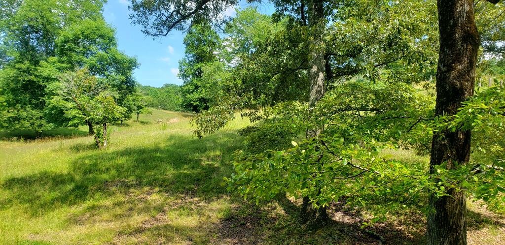0 Sugar Creek Road Northwest Georgetown, TN 37336 - Photo 29 of 31 Gallery Image 29