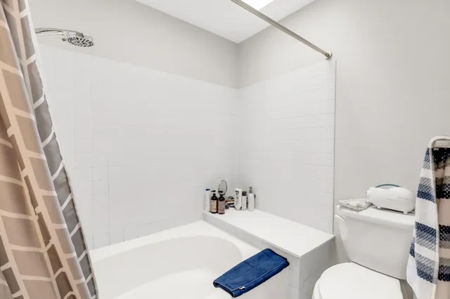 a view of a yard with plants and a large tree