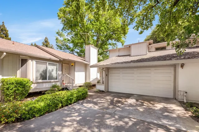 a view of a garden with plants and trees