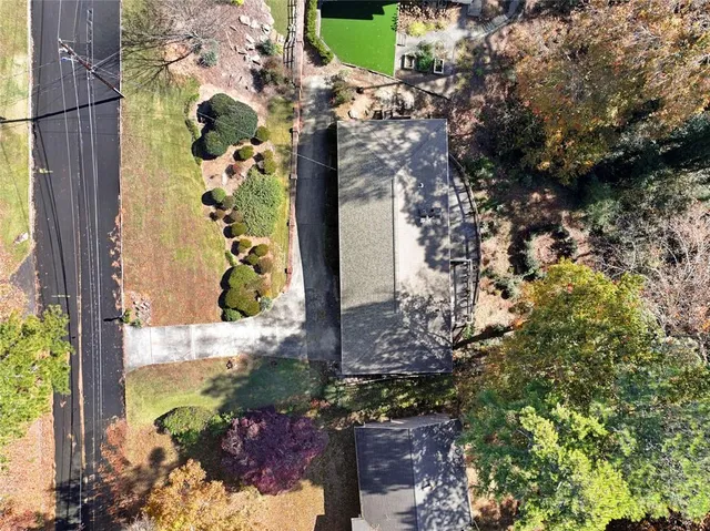 front view of a painting of a tree