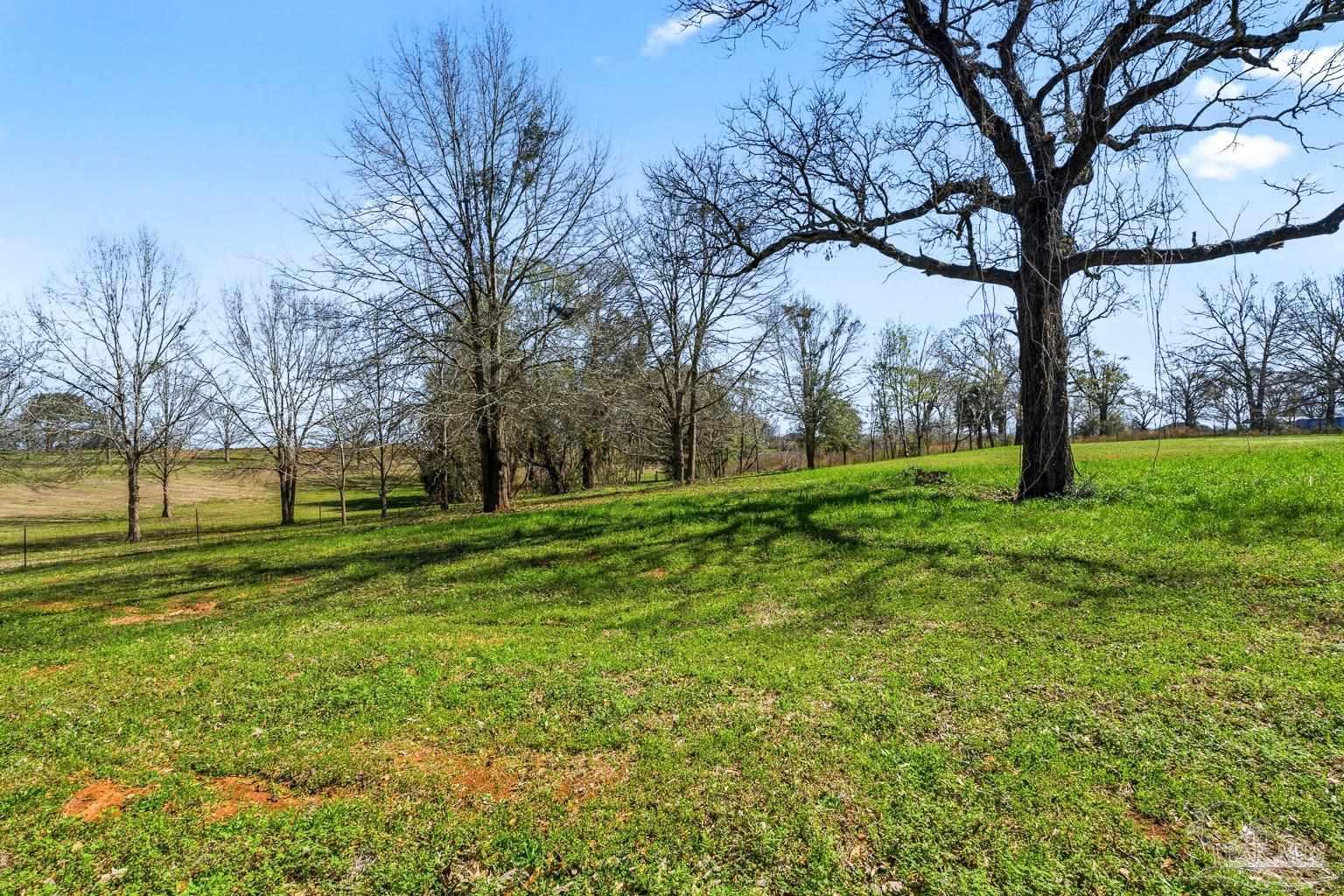 2828 Harvest Road Jay, FL 32565 - Photo 42 of 62