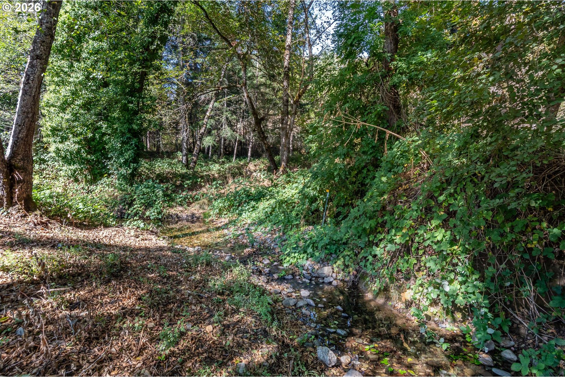 709 Ash Creek Road Riddle, OR 97469 - Photo 39 of 48 Gallery Image 39
