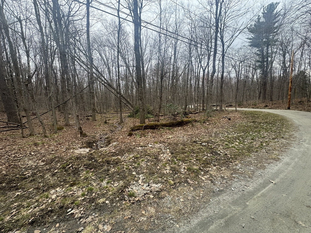0 Hayes Hill Road Otis, MA 01253 - Photo 2 of 6