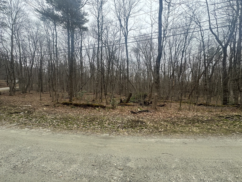 0 Hayes Hill Road Otis, MA 01253 - Photo 3 of 6