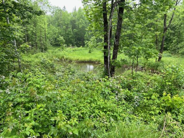 14 Corson Road Parkman, ME 04443 - Photo 12 of 21 Dunbar 26