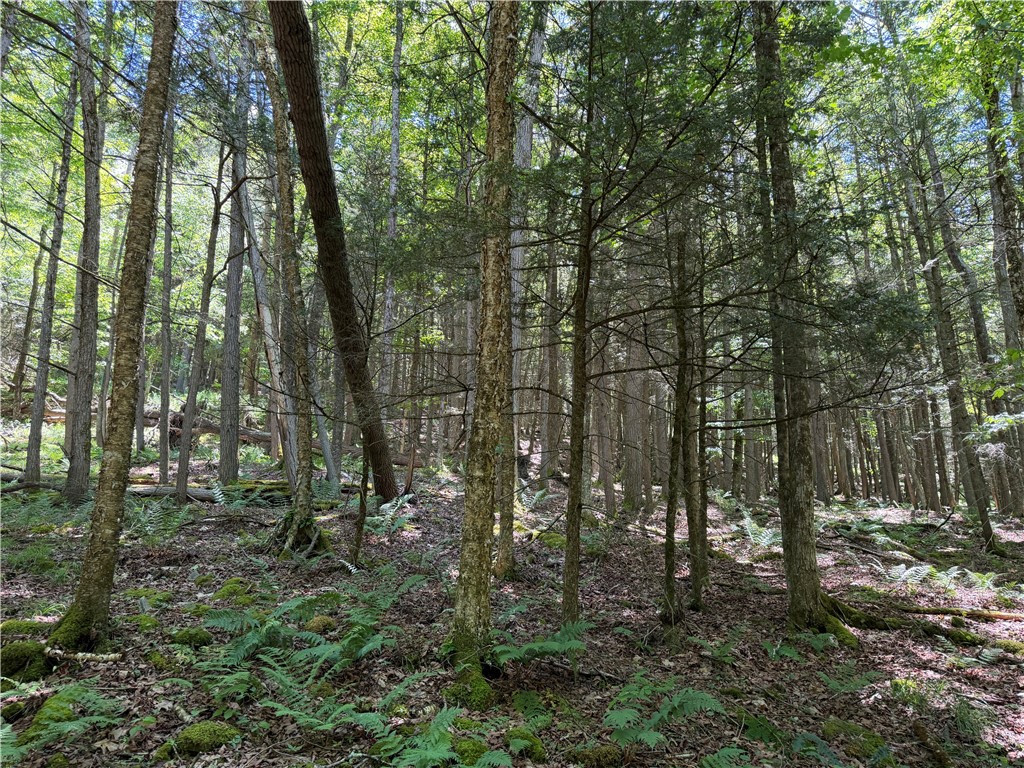 2213 Brown Hollow Road Corning, NY 14830 - Photo 37 of 50