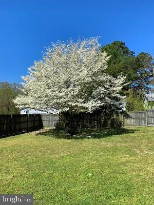 108 Branch Road Secretary, MD 21664 - Photo 5 of 10 Gallery Image 5