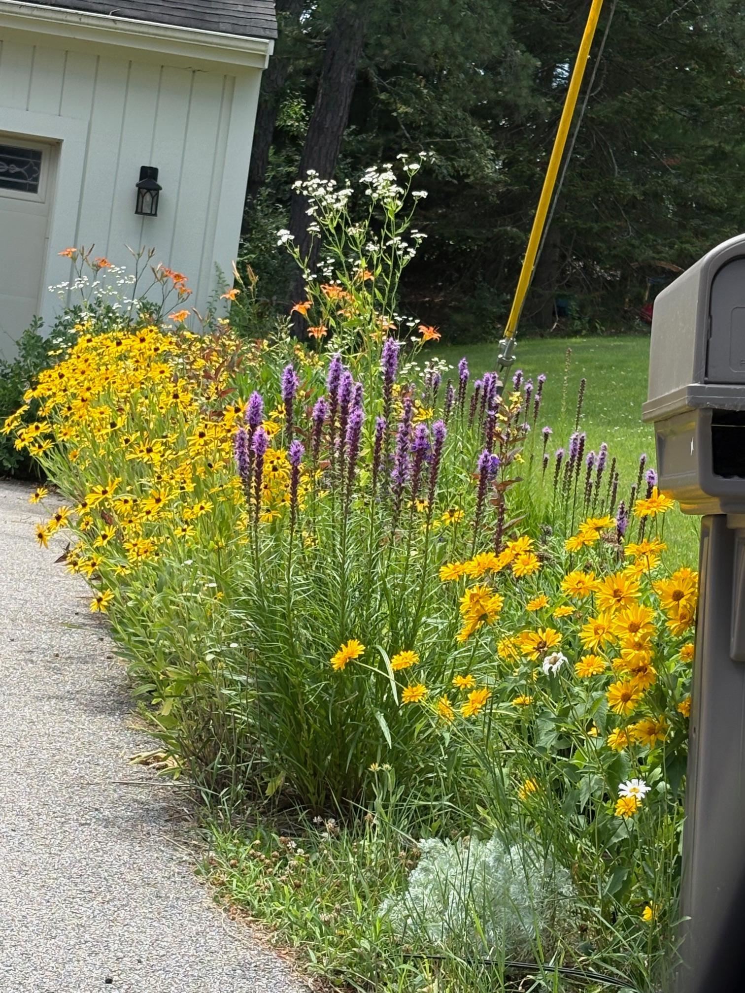 19 Pinewood Drive Merrimack, NH 03054 - Photo 40 of 42