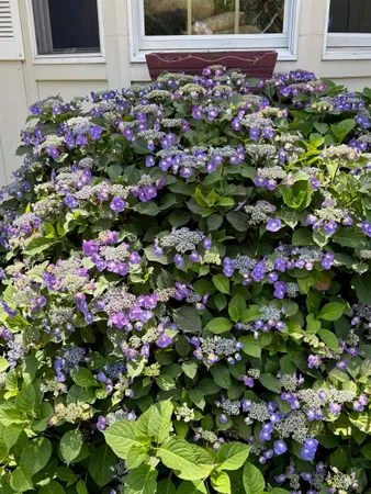 $525,000 | 19 Pinewood Drive, Merrimack, NH 03054