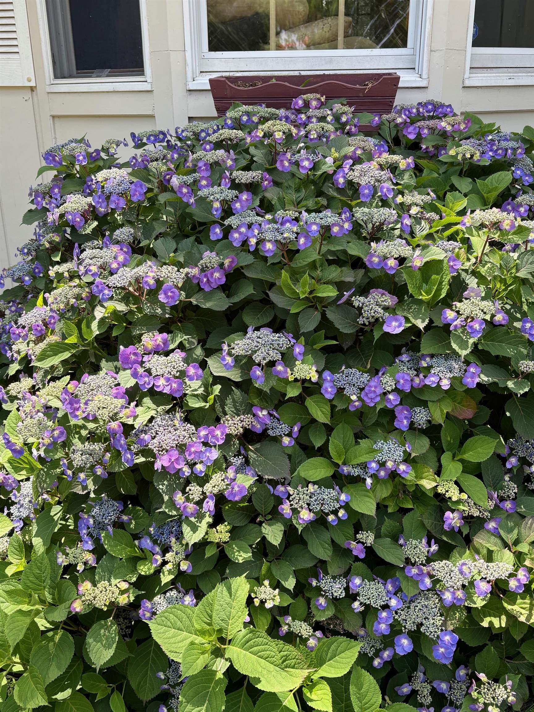 19 Pinewood Drive Merrimack, NH 03054 - Photo 41 of 42