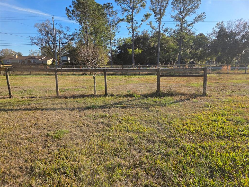 4901 North Vaughn Road Plant City, FL 33565 - Photo 25 of 31 a view of a yard with large trees