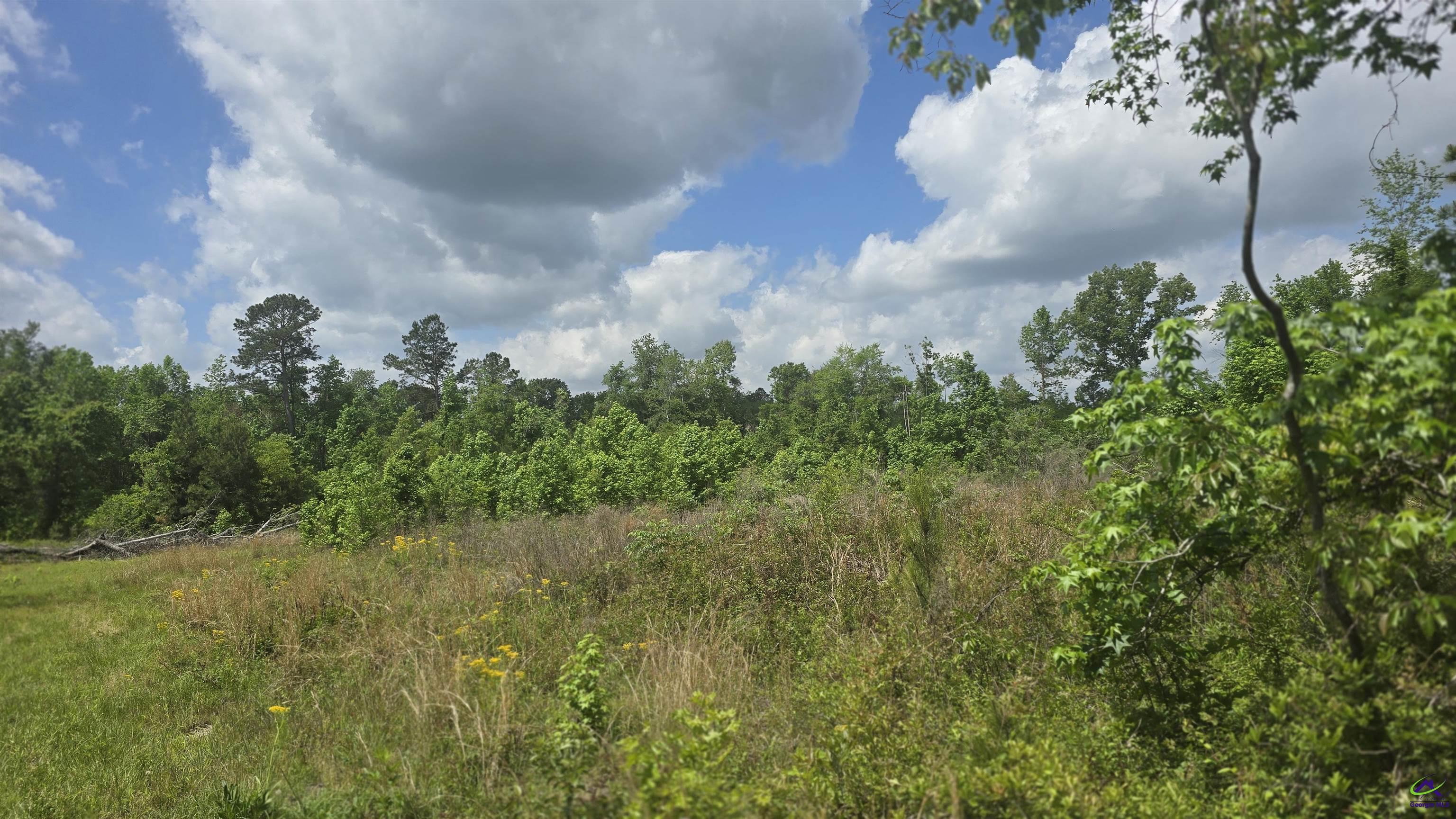 0 South S Highway Dublin, GA 31021 - Photo 7 of 13 a view of a lake with a tree in the background