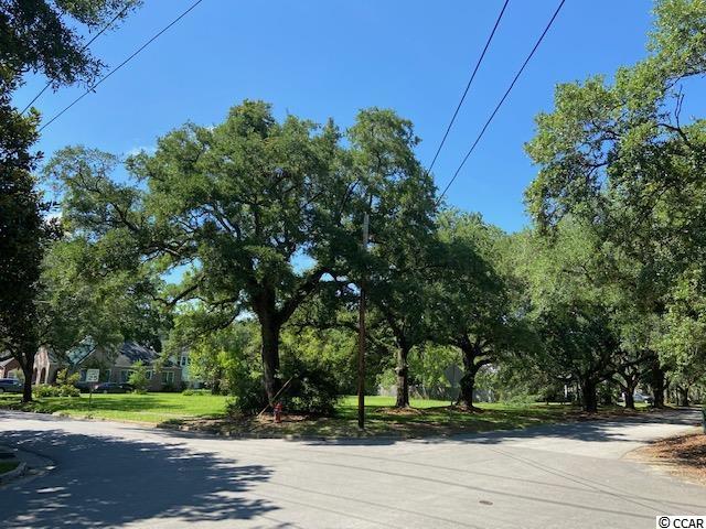 East Bay Street Georgetown, SC 29440 - Photo 1 of 5