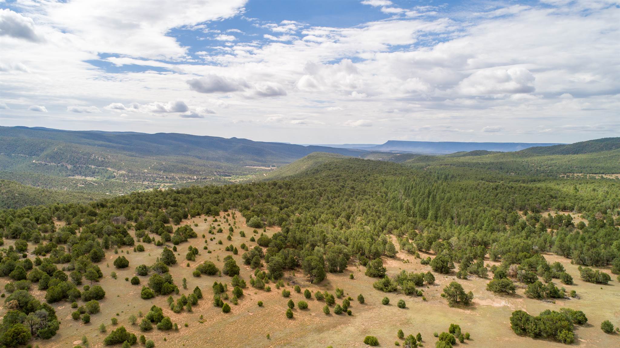 83 Pecos Barillas Road Pecos, NM 87552 - Photo 36 of 54 Gallery Image 36