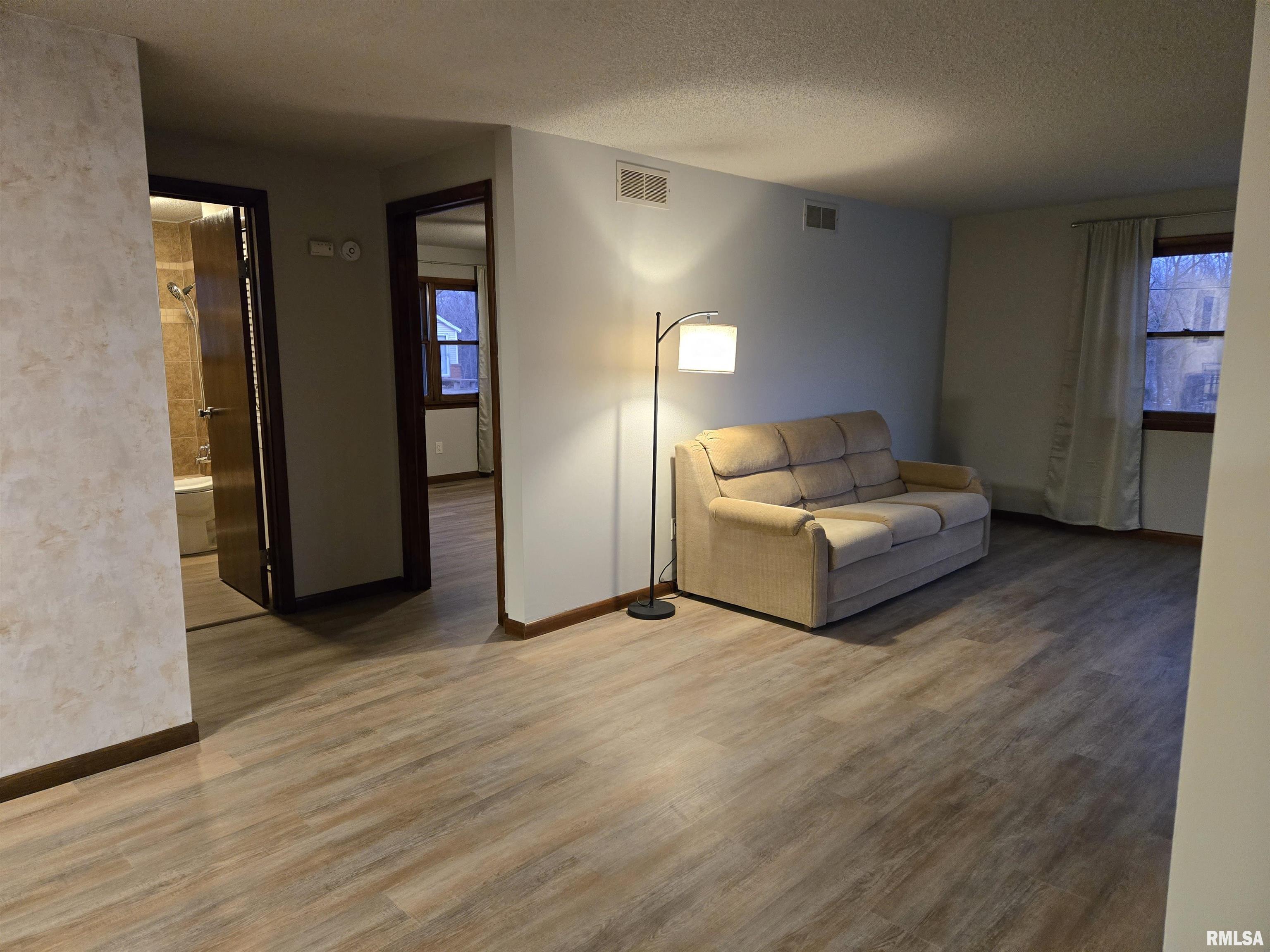 110 Mound Street Blandinsville, IL 61420 - Photo 10 of 23