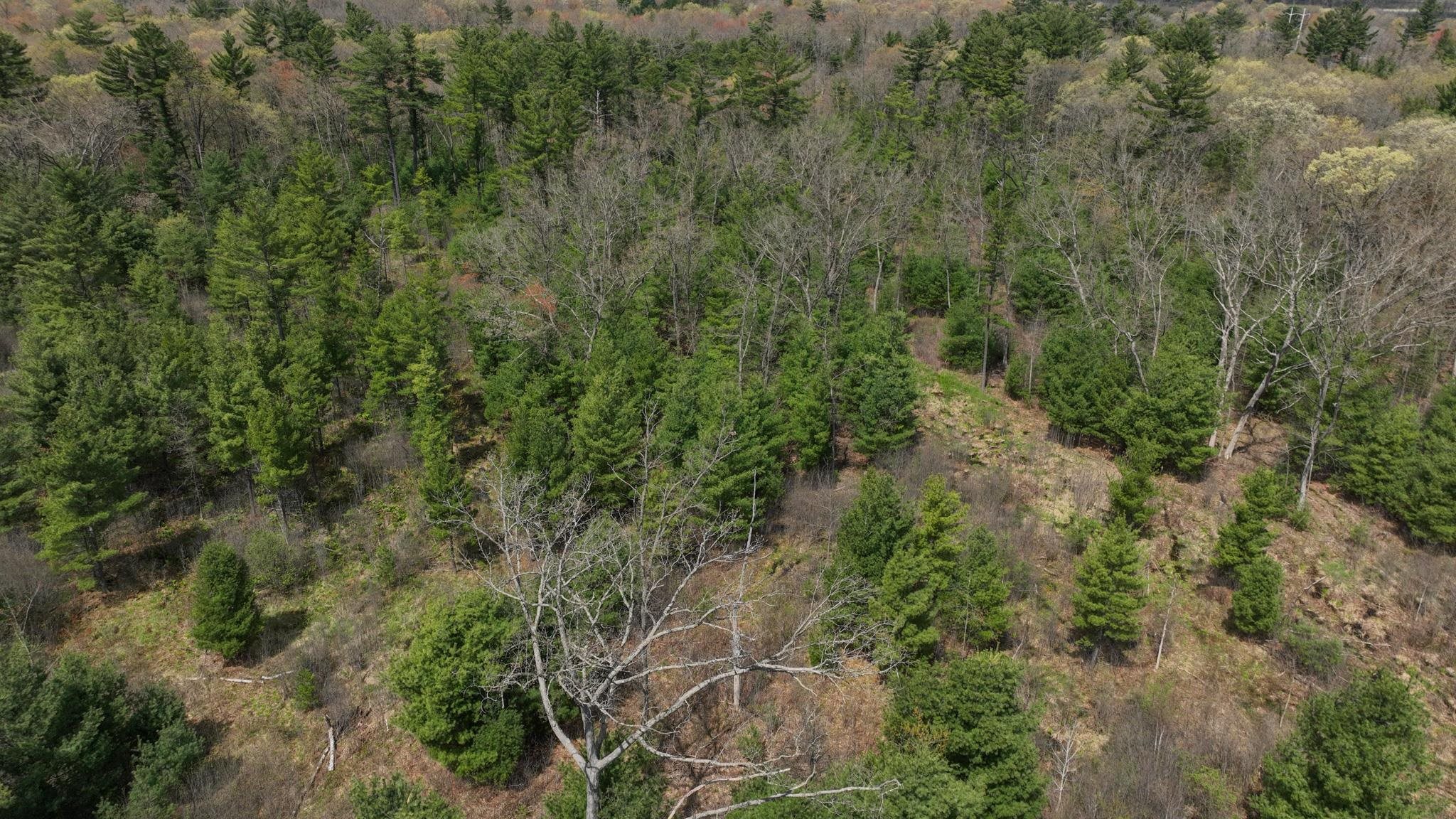 Lot 4 Grayling Tomah, WI 54660 - Photo 16 of 50
