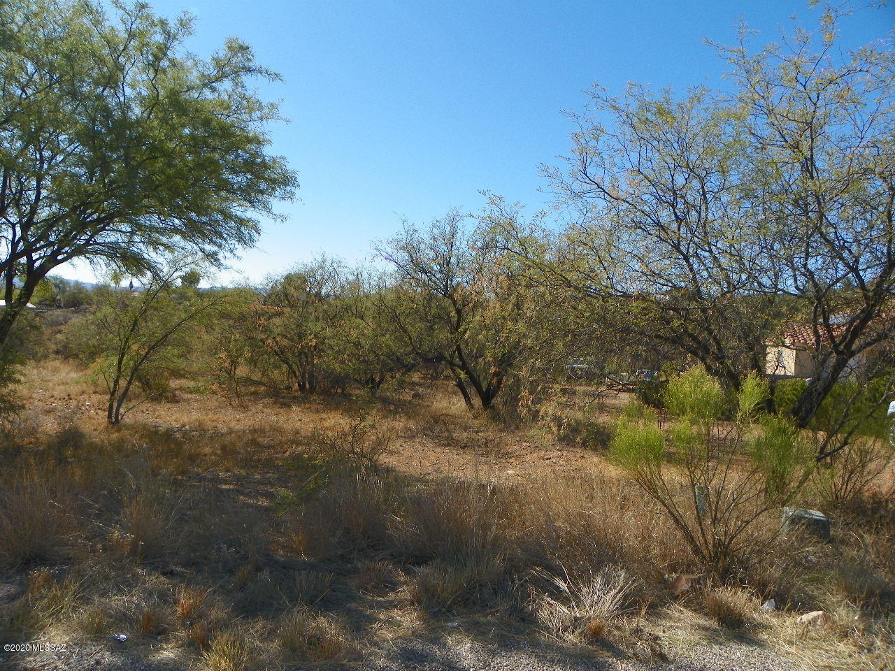 1206 Tango Court, Unit 8 Rio Rico, AZ 85648 - Photo 2 of 5 a view of a yard with large tree