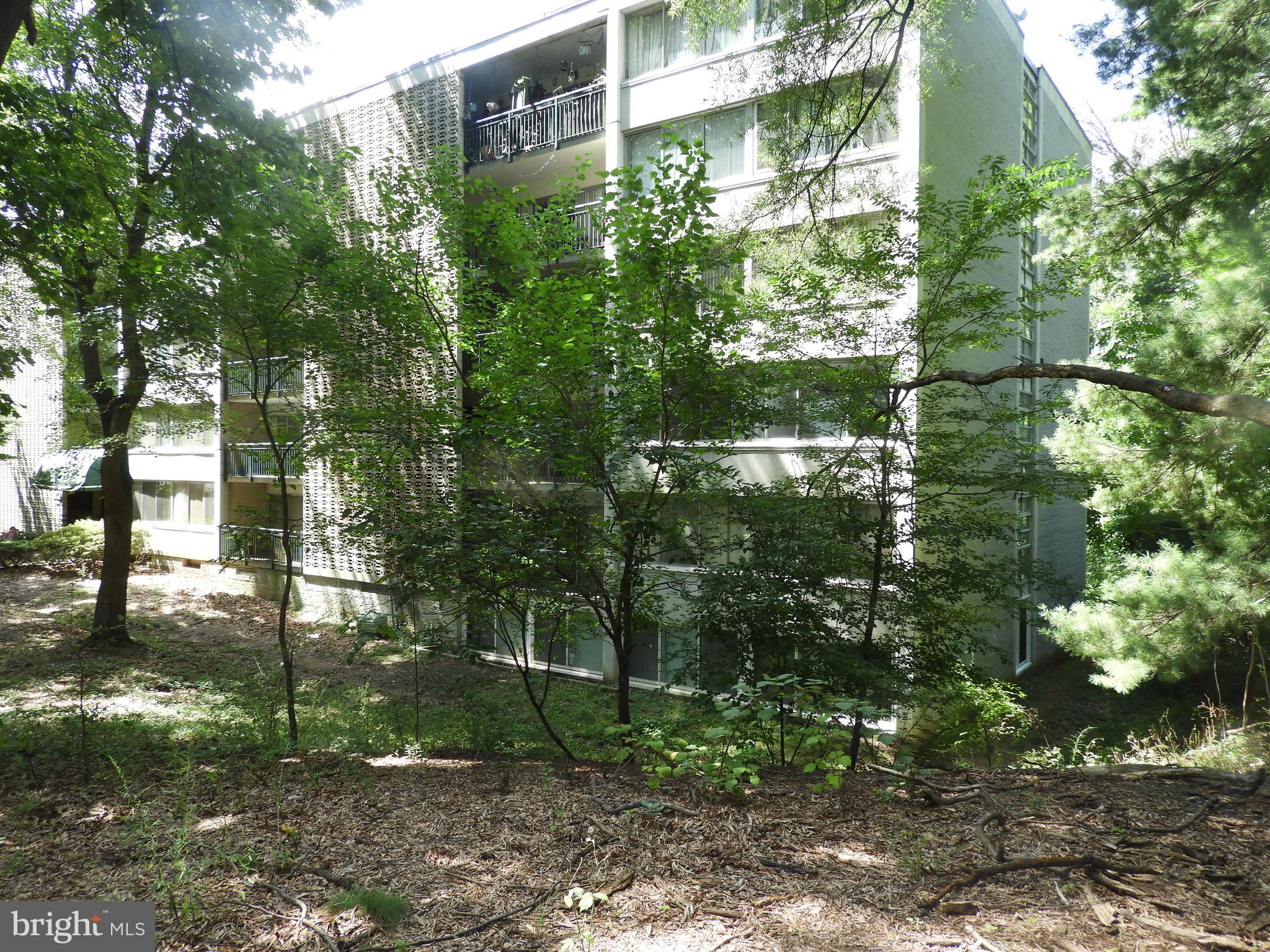 1804 Metzerott Road, Unit 206 Adelphi, MD 20783 - Photo 24 of 24 Gallery Image 24