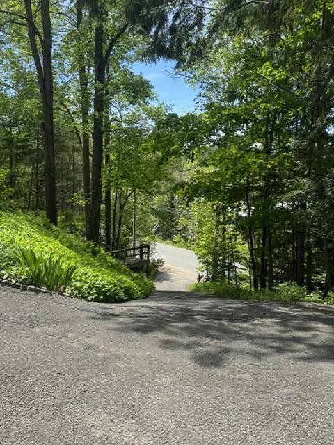 74 Old Lake Colby Road Saranac Lake, NY 12983 - Photo 40 of 41