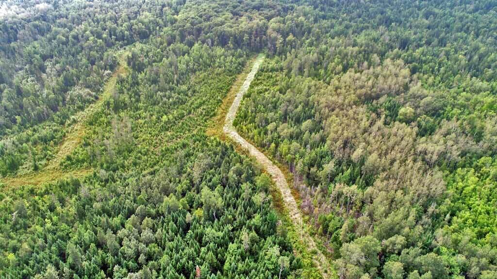Lot 121 East Road New Sweden, ME 04762 - Photo 29 of 29 northern-me-aroostook-land