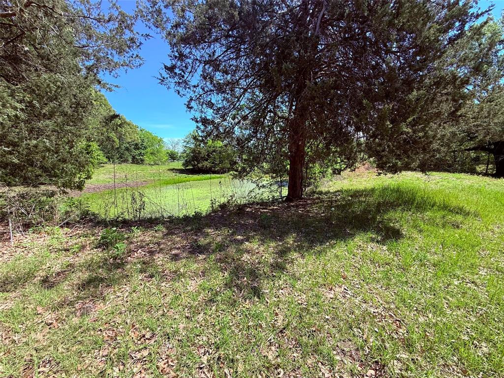 45 County Road 1197 Yantis, TX 75497 - Photo 25 of 26 a view of a garden with a tree