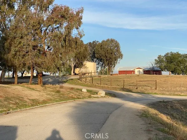 a view of large trees with houses