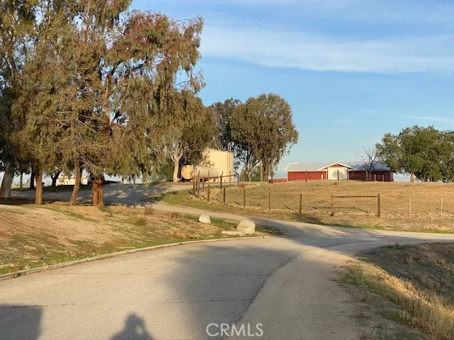 a view of large trees with houses