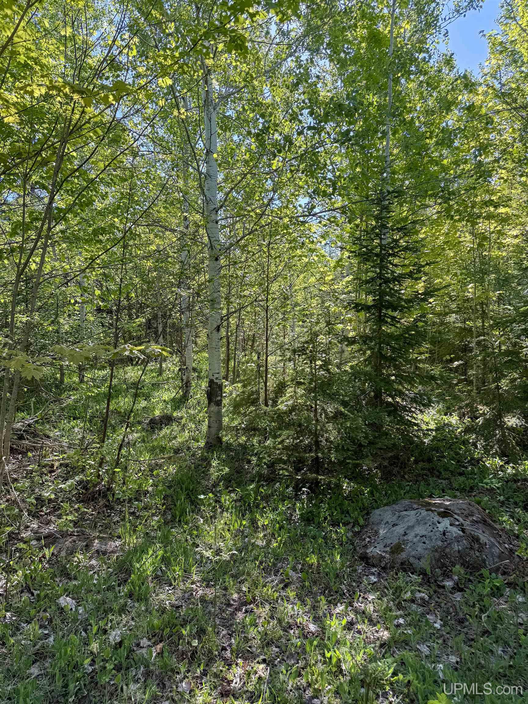 Lot A Gratiot River Road Calumet, MI 49913 - Photo 21 of 35