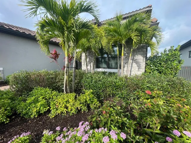 a view of a garden with a tree