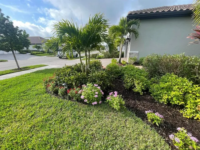 a plant is in front of a house