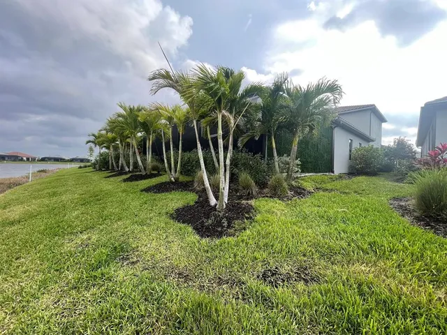 a view of a yard with a fountain