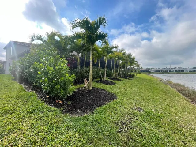 a view of a garden with palm trees