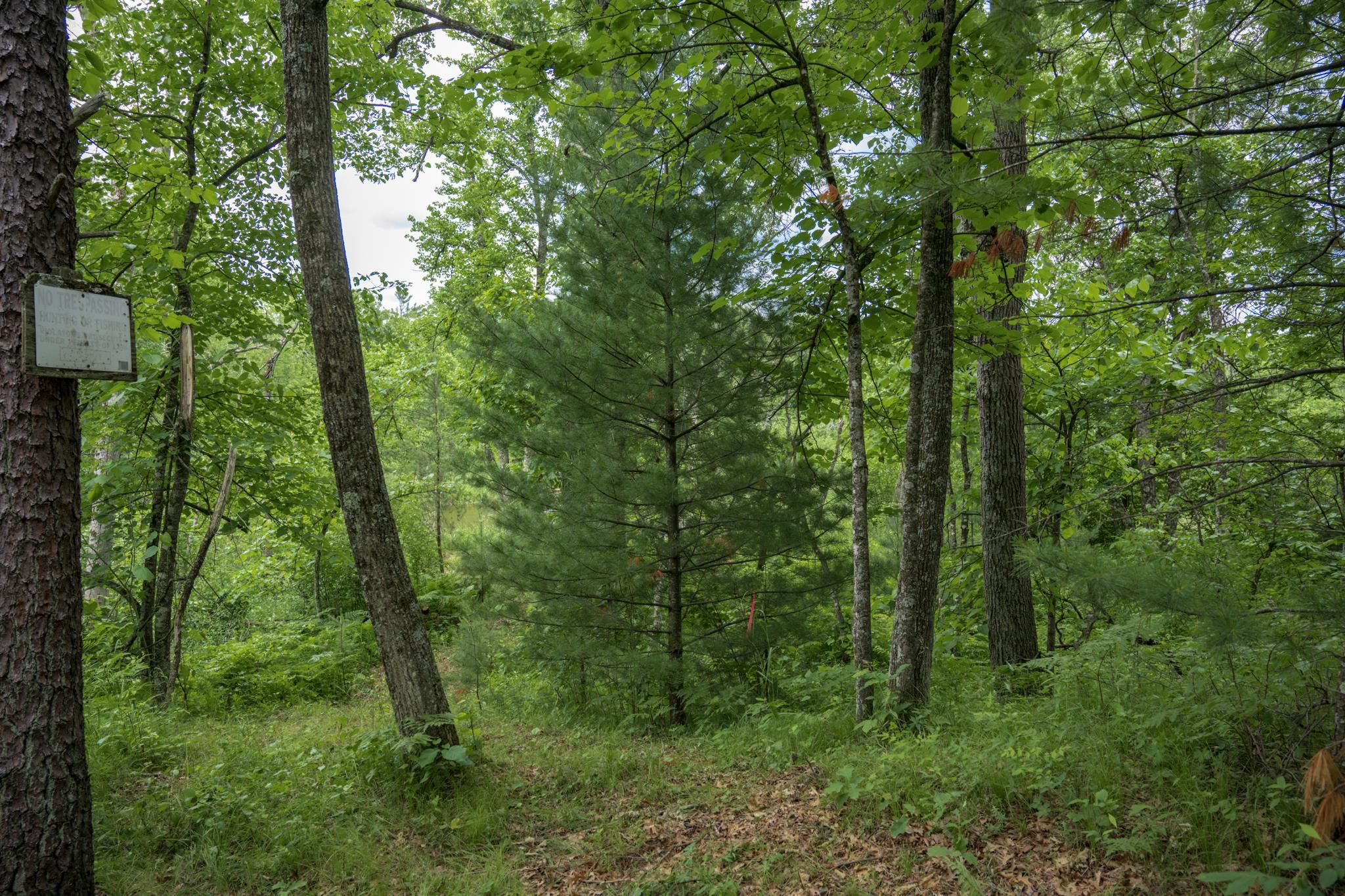 907 West Trout Valley Road Hancock, WI 54943 - Photo 24 of 48