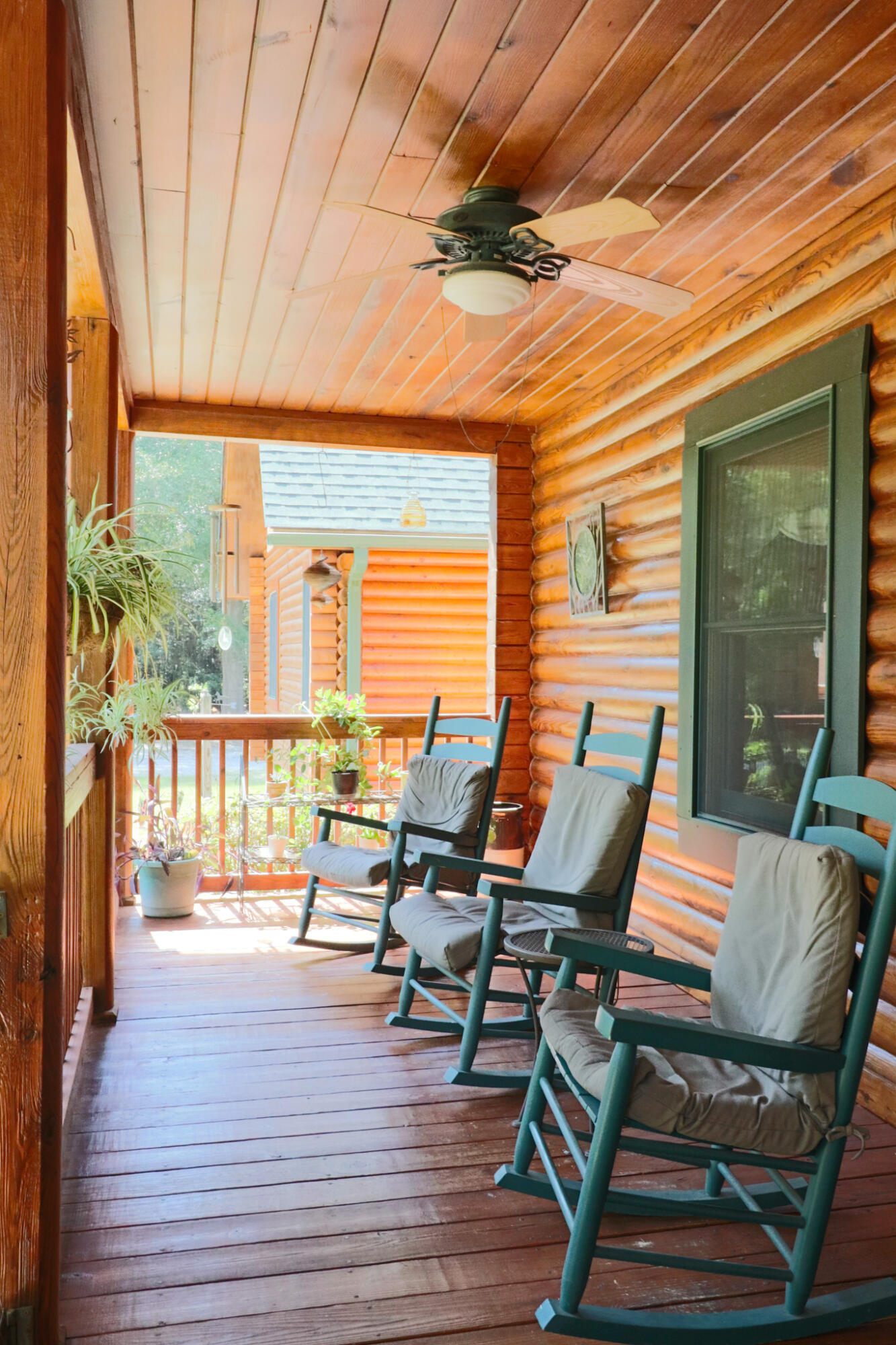 133 Cedar Branch Road Windsor, SC 29856 - Photo 5 of 37 Gallery Image 5