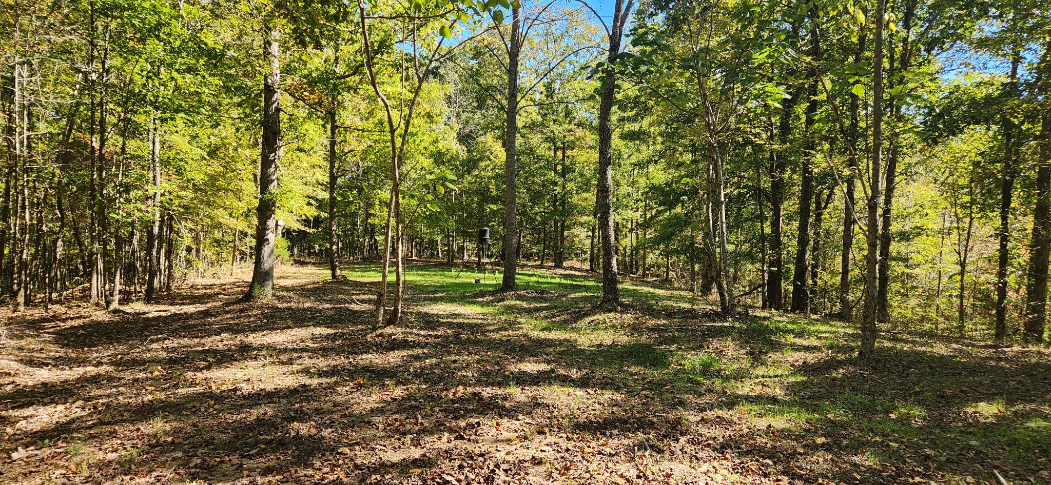 0 Swan Creek Road Centerville, TN 37033 - Photo 1 of 8 Food plot and best area for a nice home site. Not far from Swan Creek Rd.