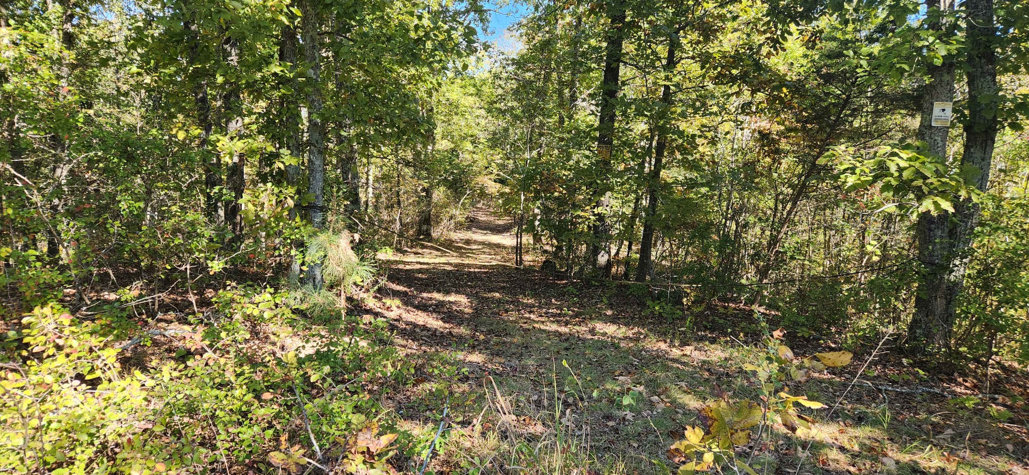 0 Swan Creek Road Centerville, TN 37033 - Photo 4 of 8 From Swan Creek Rd looking at entrance of ridge road.