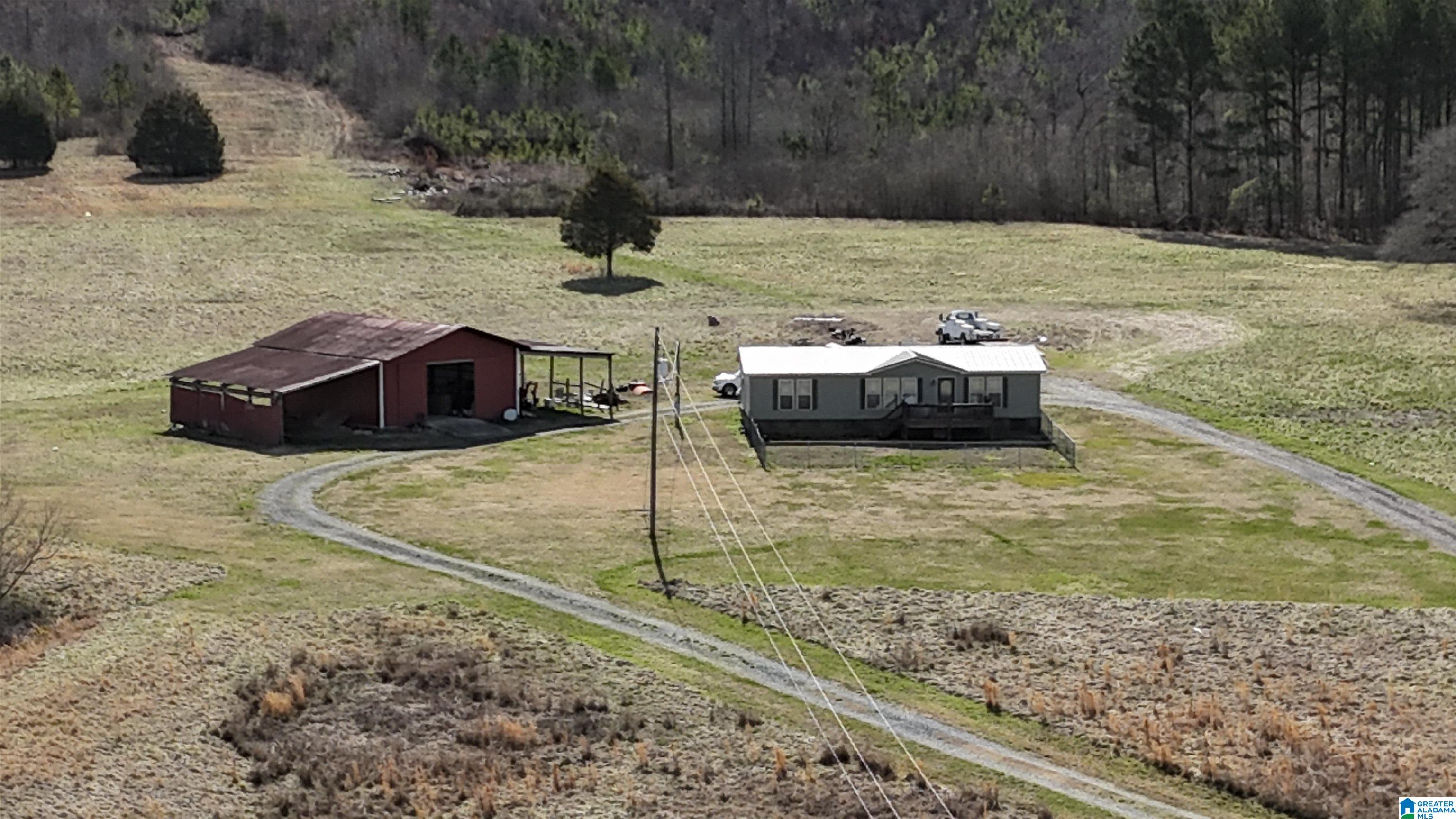 3410 Highway 132 Oneonta, AL 35121 - Photo 12 of 46