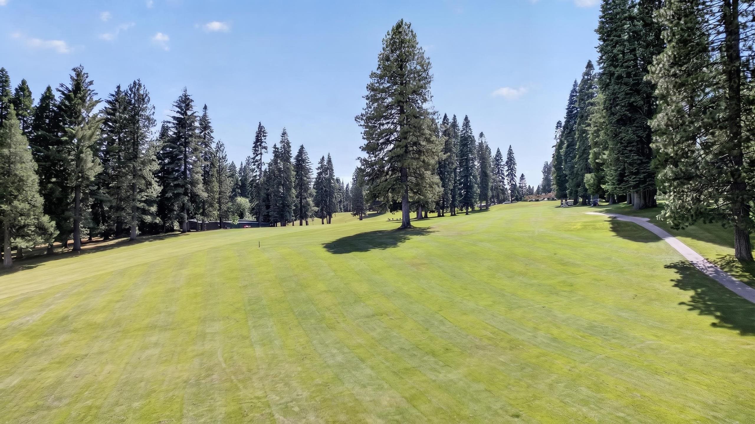 1008 Dyer View Road Lake Almanor, CA 96137 - Photo 37 of 38